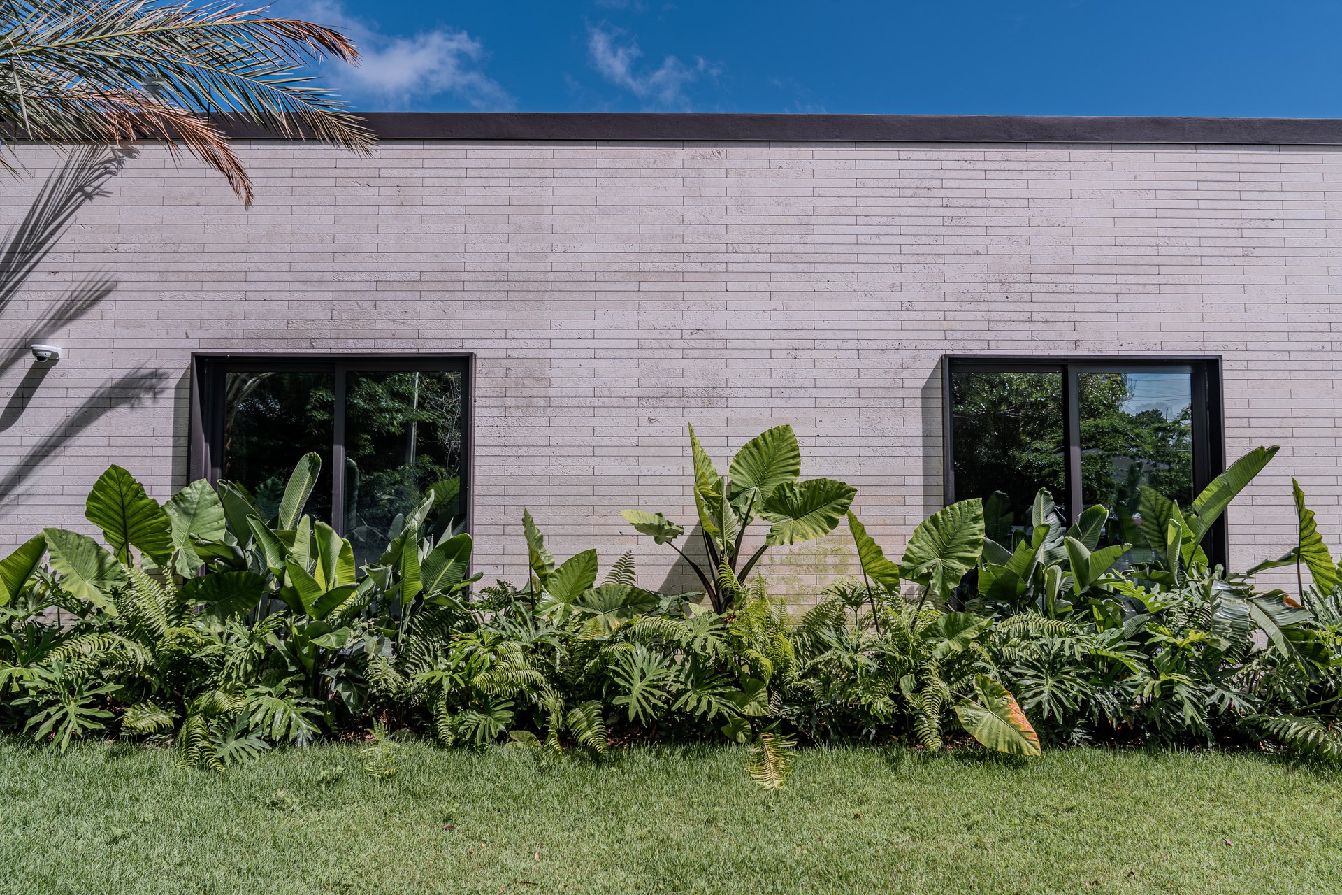 72 — street façade planting