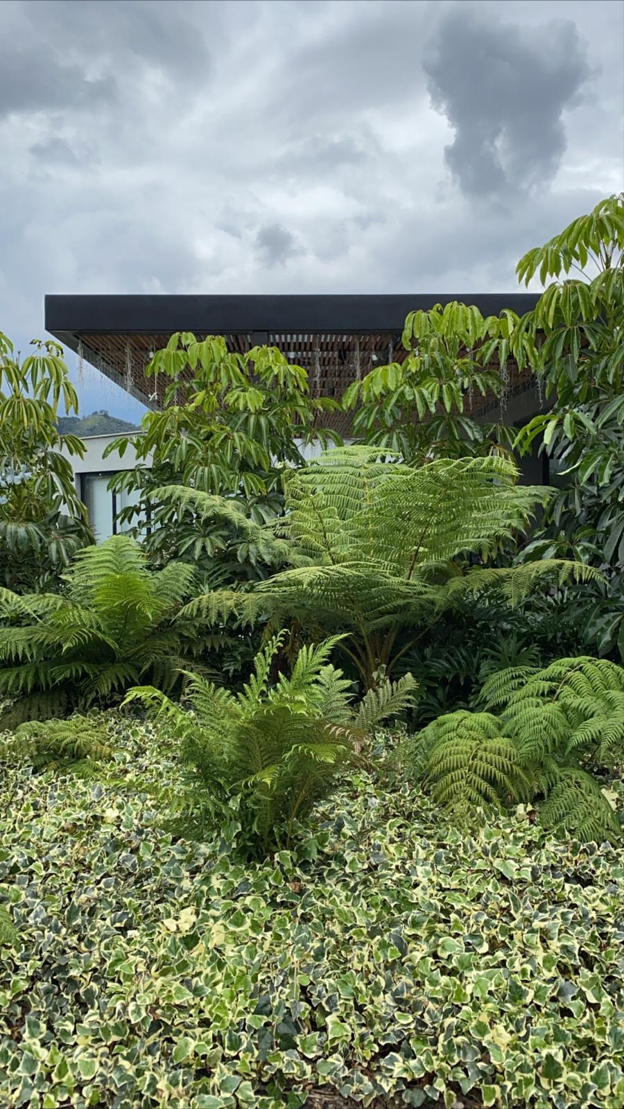 CAB — completed residence, photographed on site
