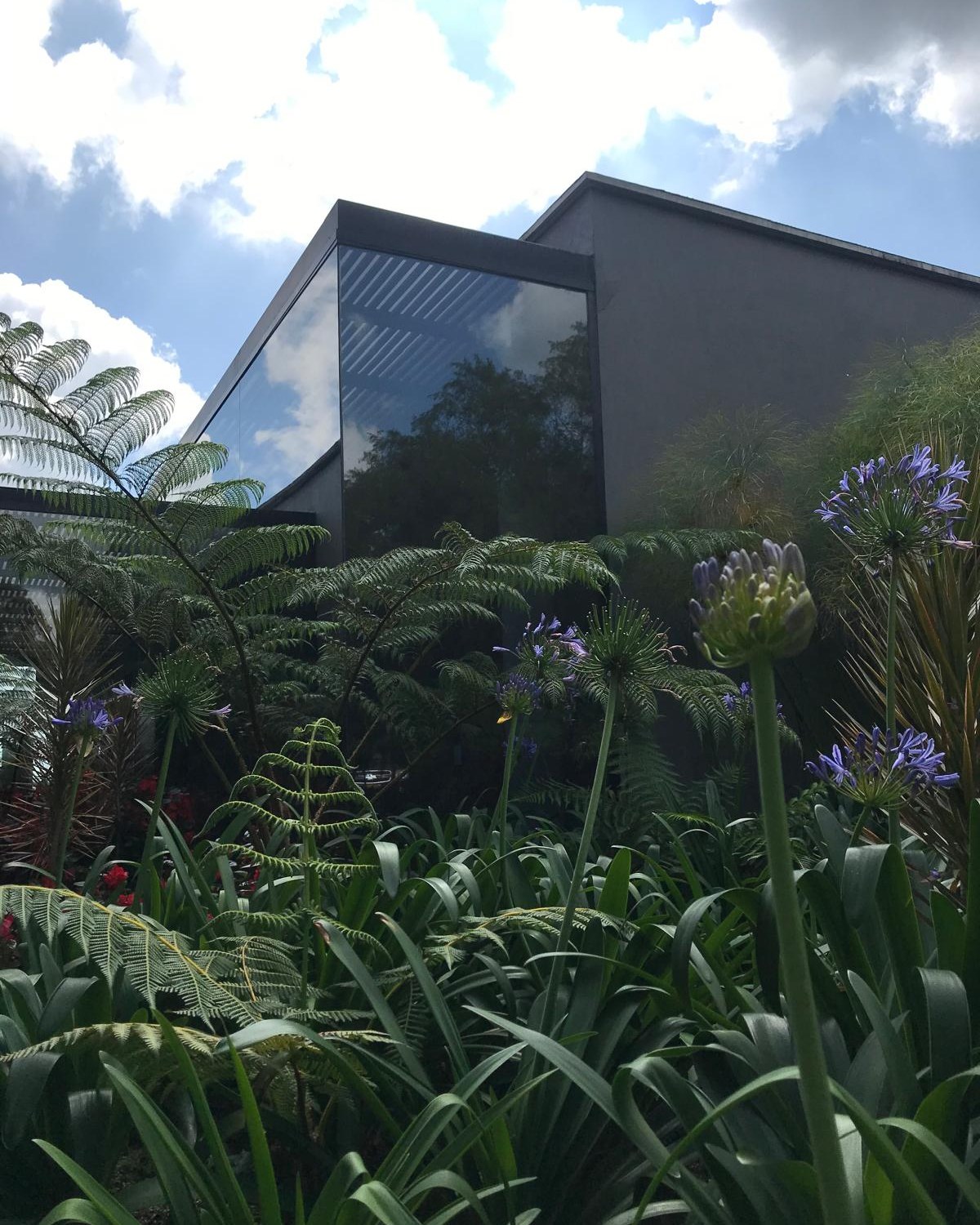 CAB — completed residence, garden and glass volume