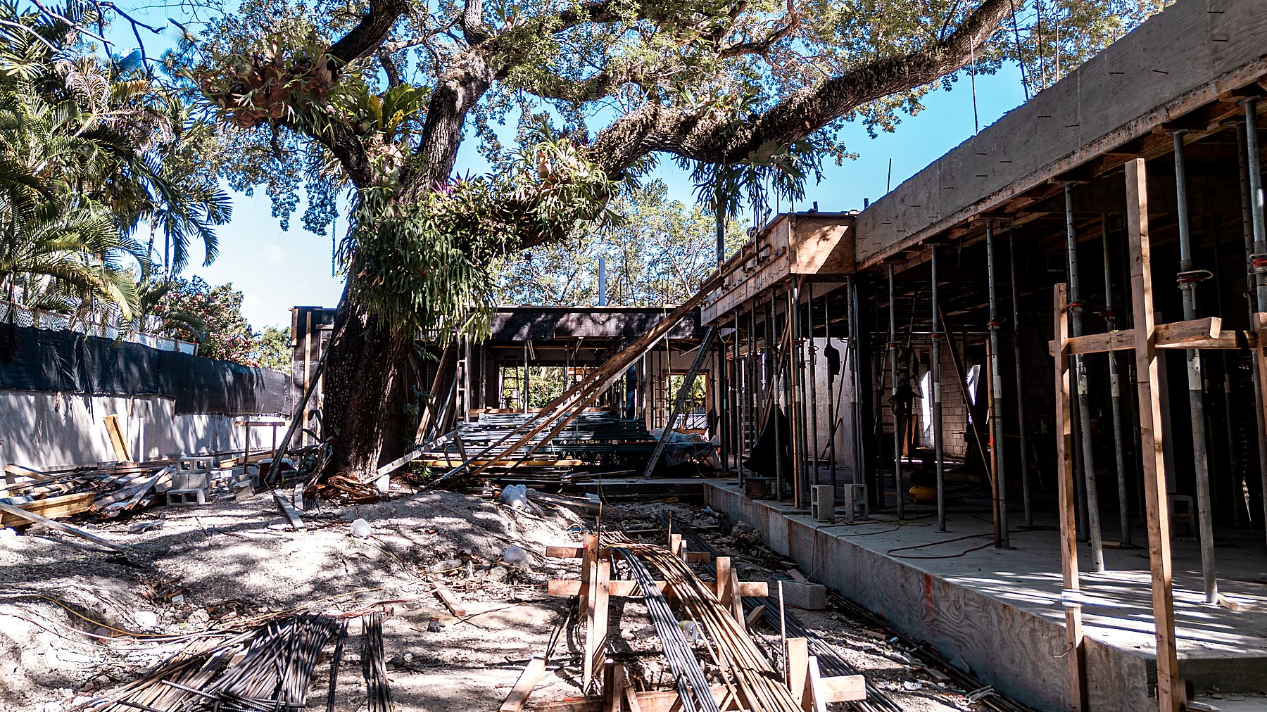 Tigertail Court — concrete frame under the oak, June 2026