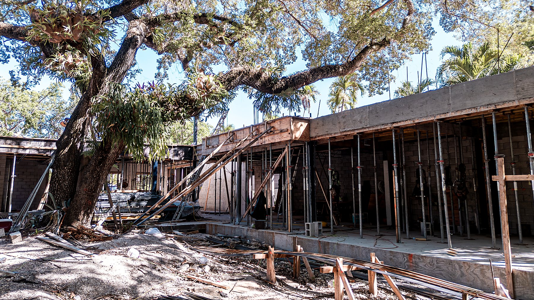 Tigertail Court — concrete frame and columns on site, June 2026