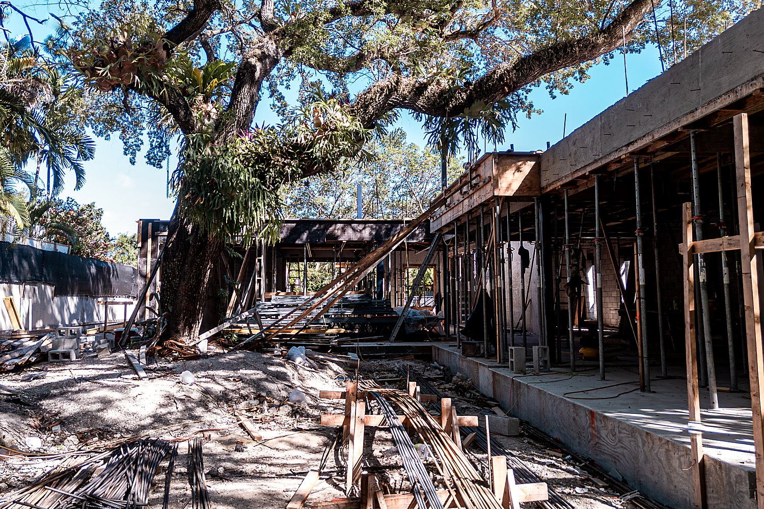 Tigertail Court — concrete frame under the oak, on site